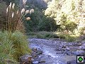 thn_NZ leden-unor 2006 221.jpg